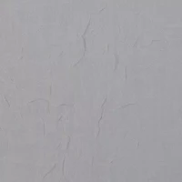 Regal Home Crushed Voile Solid Rod Pocket Sheer Single Curtain Panel