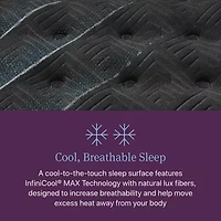 Beautyrest World Class Level Four 16.25" Plush Pillow top - Mattress Only