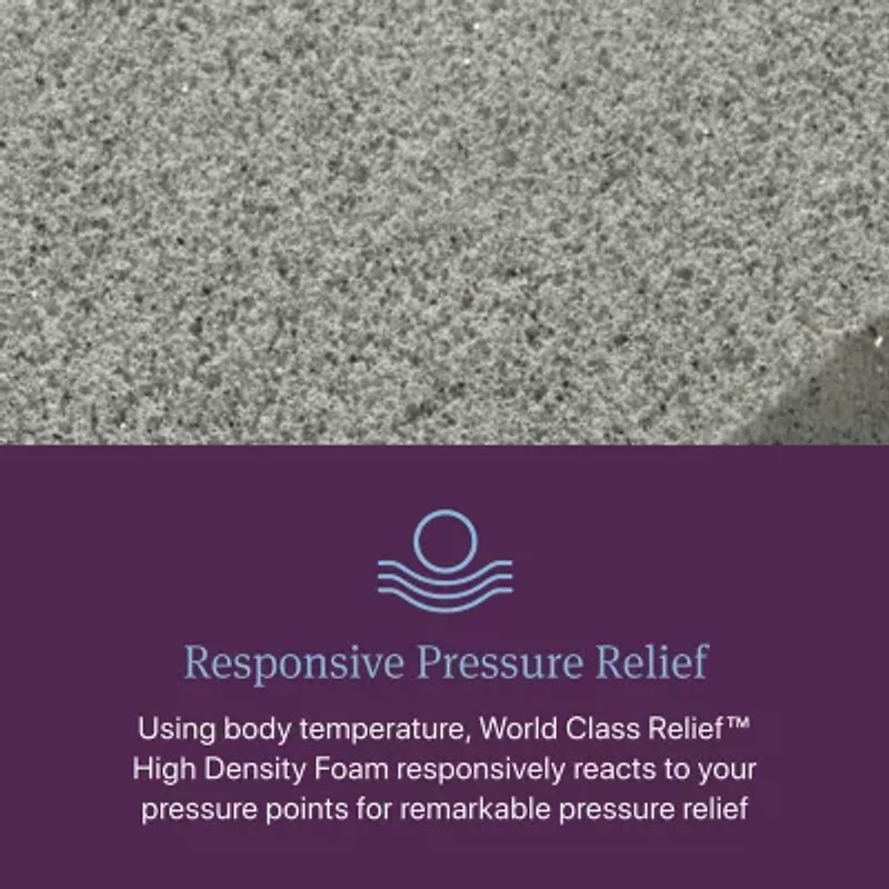 Beautyrest World Class Level Four 16.25" Plush Pillow top - Mattress Only