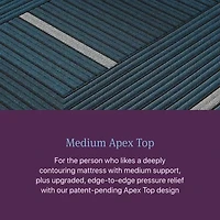 Beautyrest World Class Level Four 14" Medium Pillow top