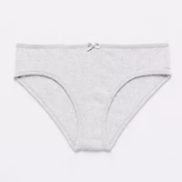 Arizona Body Cotton Hipster Panty