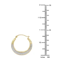 Womens 14K Two Tone Gold 19mm Round Hoop Earrings