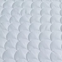 Blue Ridge Home Fashions Damask Dot 350 Thread Count Mattress Pad