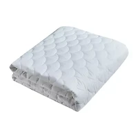 Blue Ridge Home Fashions Damask Dot 350 Thread Count Mattress Pad