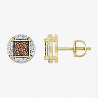 3/4 CT. T.W. Natural Champagne Diamond 10K Gold 10mm Stud Earrings