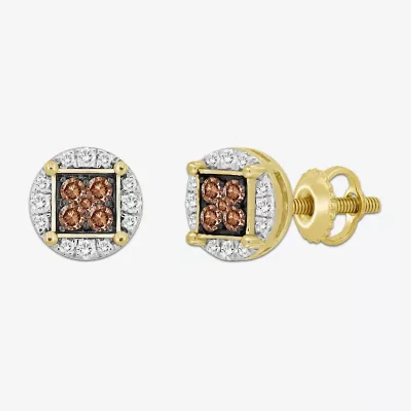 3/4 CT. T.W. Natural Champagne Diamond 10K Gold 10mm Stud Earrings
