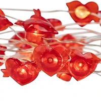 Northlight Heart And Arrow String Lights