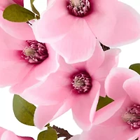 Linden Street 22in Pink Magnolia Wreath