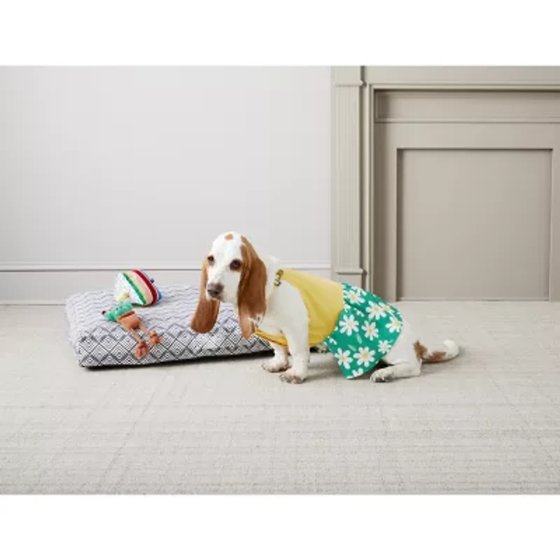 Paw & Tail Cake And Purse 2-pc. Dog Plush Toy
