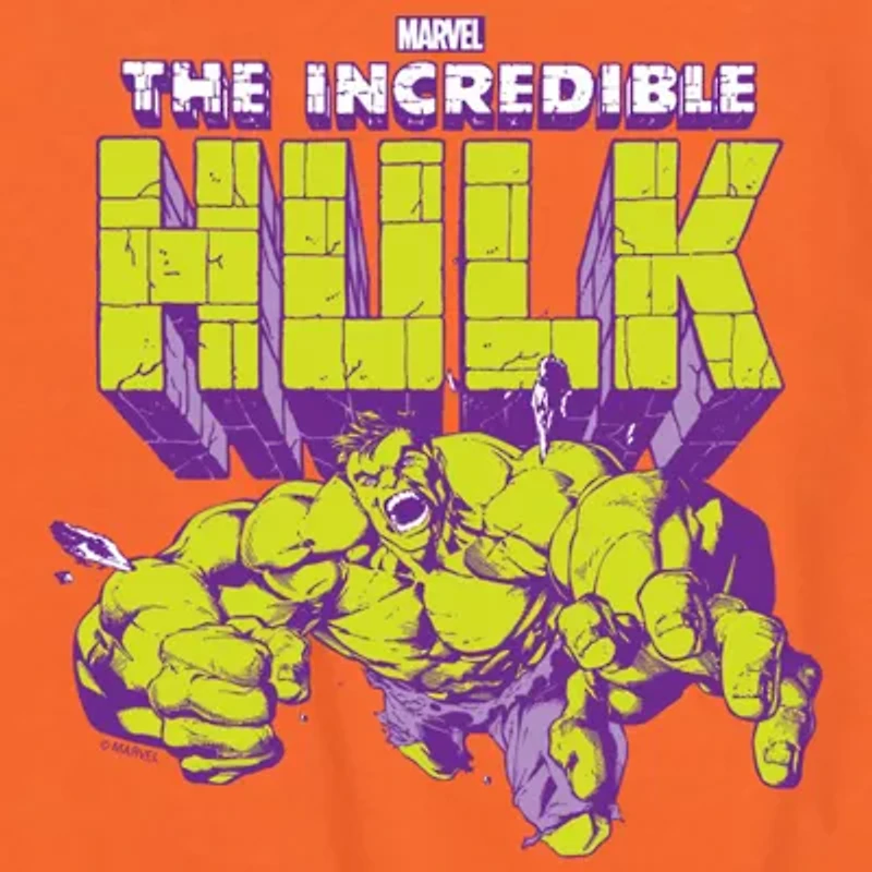 Disney Collection Little & Big Kid Boys Crew Neck Short Sleeve Hulk Graphic T-Shirt