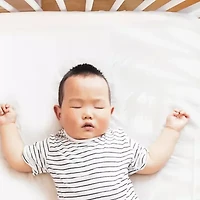 The Peanutshell Boho 4-pc. Crib Sheet