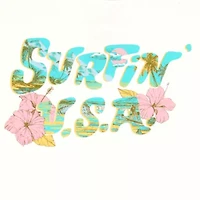 Beach Boys Baby Tee Womens Juniors Crew Neck Short Sleeve Fitted Graphic T-Shirt