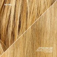 Redken Extreme Shampoo 10.1 oz.