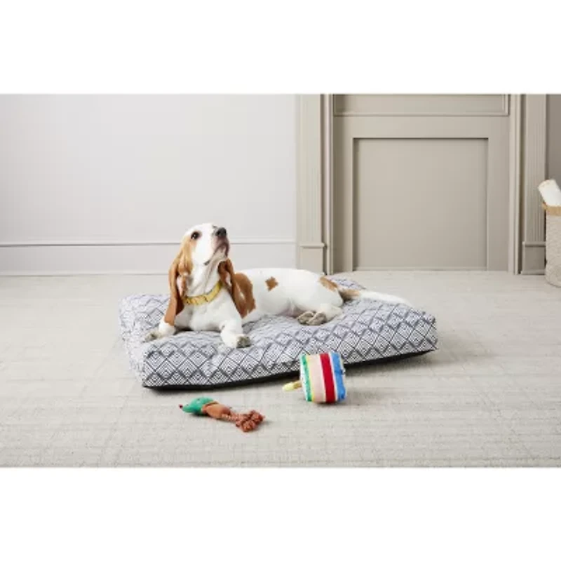 Paw & Tail Cake And Purse 2-pc. Dog Plush Toy