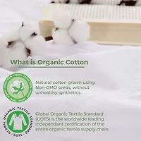 SUPERIOR® Gina Organic Percale Crisp Breathable 300tc Fitted Sheet