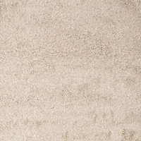 Safavieh Austin Shag Runner Rug