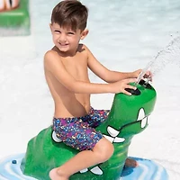 Dolfin Little & Big Kid Boys Swim Trunks