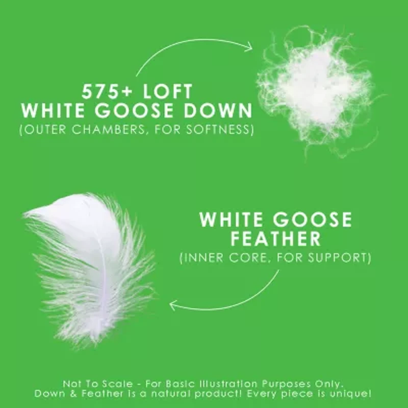 Canadian Down & Feather Company Perfect Firm Support Pillow