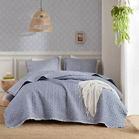 Madison Park Ruffle Printed 3-pc. Easy Care Coverlet Set