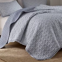 Madison Park Ruffle Printed 3-pc. Easy Care Coverlet Set