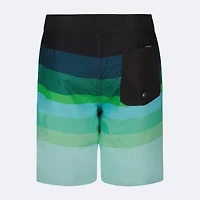 Quiksilver Big Kid Boys Board Shorts