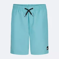 Quiksilver Big Kid Boys Swim Trunks