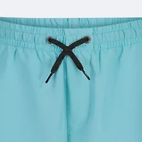 Quiksilver Big Kid Boys Swim Trunks