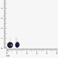 Liz Claiborne Womens Drop Earrings