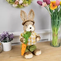 Northlight 14" Brown And Yellow Rustic Boy Rabbit With Carrot Standing Easter Figurine