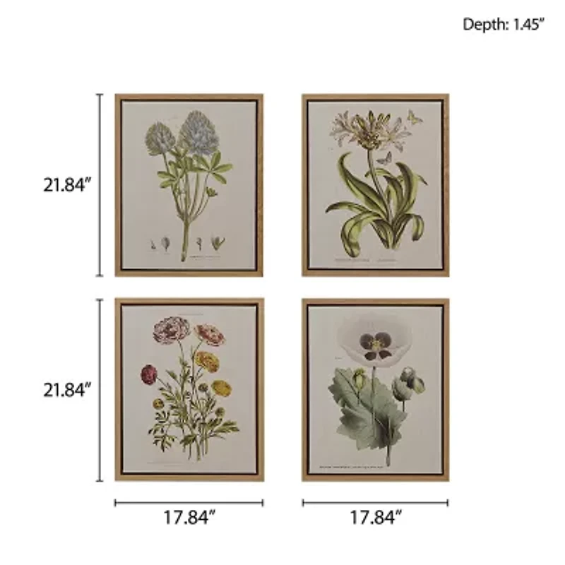 Madison Park Herbal Botany Botanical Illustration 4-pc. Framed Wall Art Sets