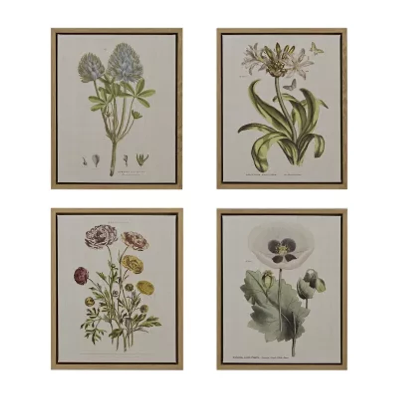 Madison Park Herbal Botany Botanical Illustration 4-pc. Framed Wall Art Sets