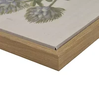 Madison Park Herbal Botany Botanical Illustration 4-pc. Framed Wall Art Sets