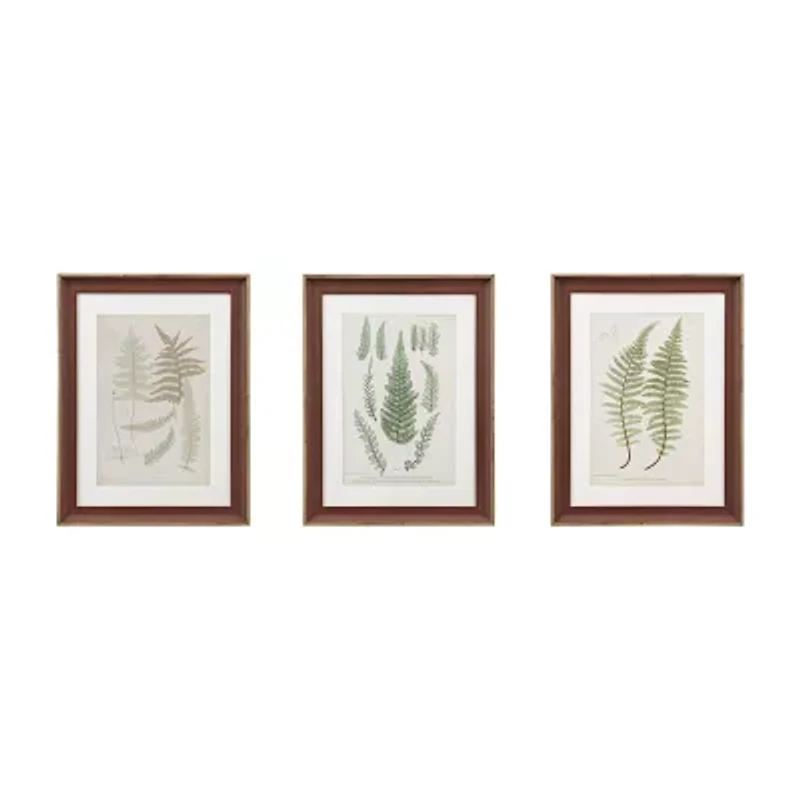 Madison Park Lady Fern Collection Botanical Illustration 3-pc. Framed Wall Art Sets