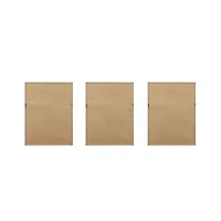 Madison Park Lady Fern Collection Botanical Illustration 3-pc. Framed Wall Art Sets