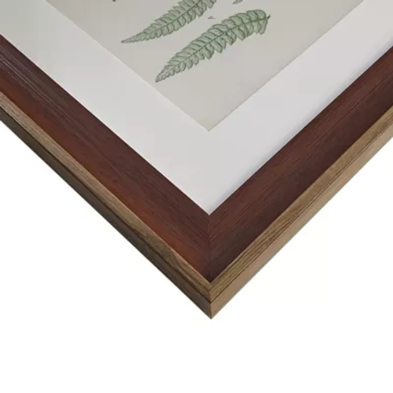 Madison Park Lady Fern Collection Botanical Illustration 3-pc. Framed Wall Art Sets