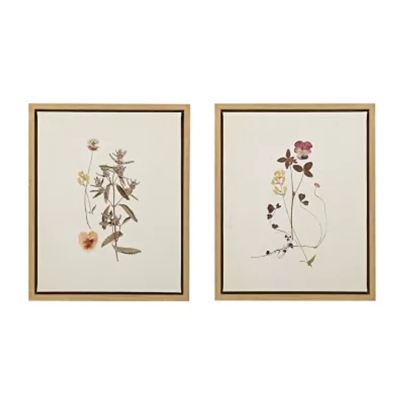 Madison Park French Herbarium 2-pc. Framed Wall Art Sets