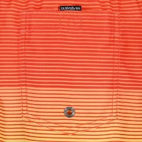 Quiksilver Big Kid Boys Striped Swim Trunks
