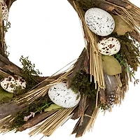 Northlight 14" Speckled Eggs And Feathers Artificial Wreath