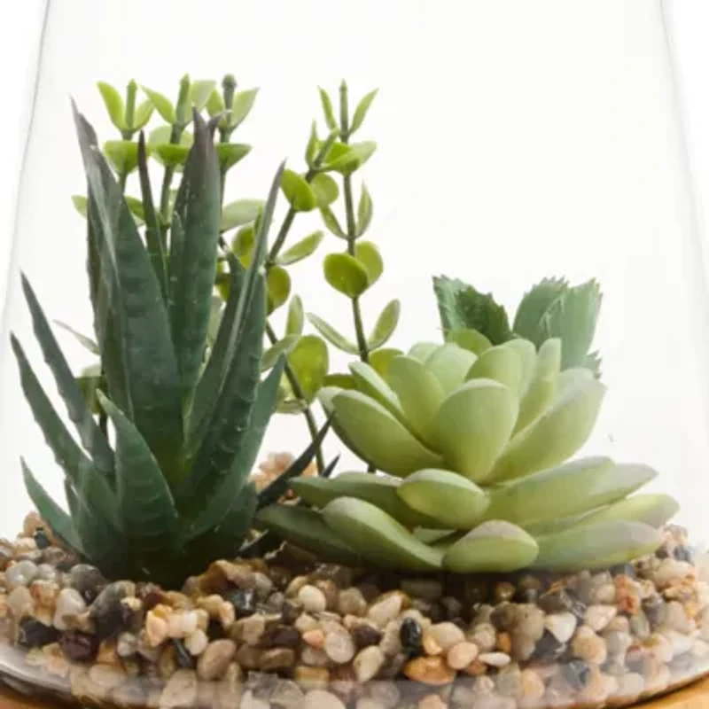 Linden Street 7in Mixed Succulent Terrarium Artificial Plant