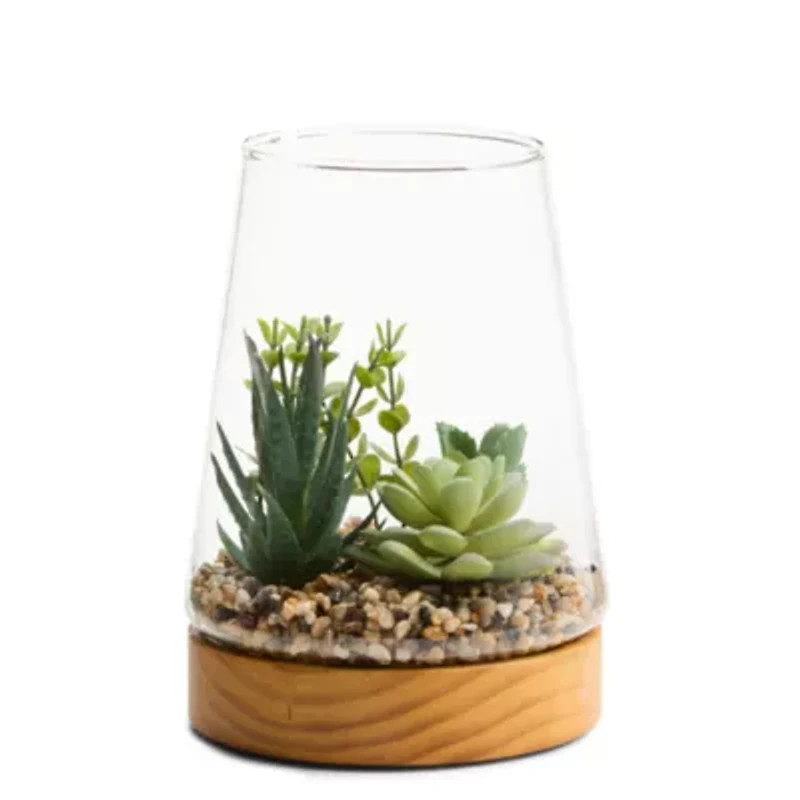 Linden Street 7in Mixed Succulent Terrarium Artificial Plant