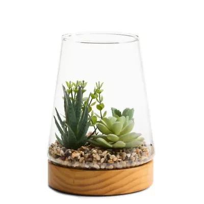 Linden Street 7in Mixed Succulent Terrarium Artificial Plant