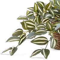 Linden Street 8in Tradescantia Trailing Artificial Plant