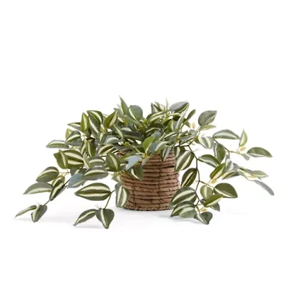 Linden Street 8in Tradescantia Trailing Artificial Plant