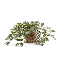 Linden Street 8in Tradescantia Trailing Artificial Plant