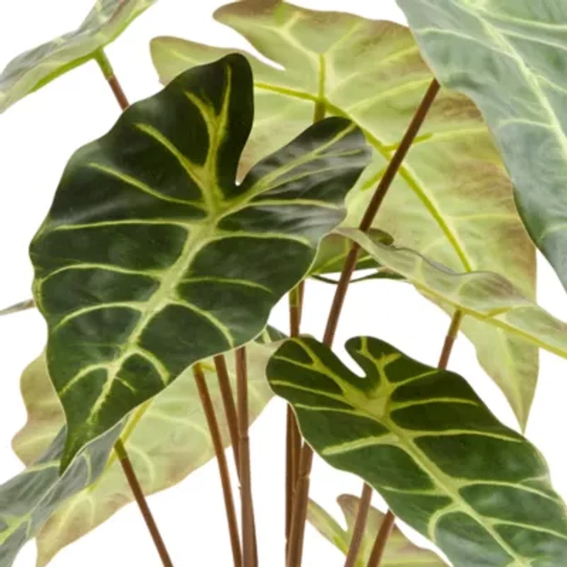 Linden Street 17in Alocasia Artificial Plant