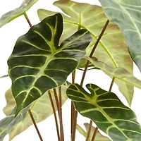 Linden Street 17in Alocasia Artificial Plant