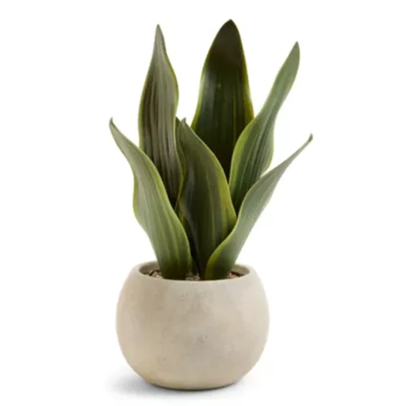 Linden Street 12in Snake Artificial Plant