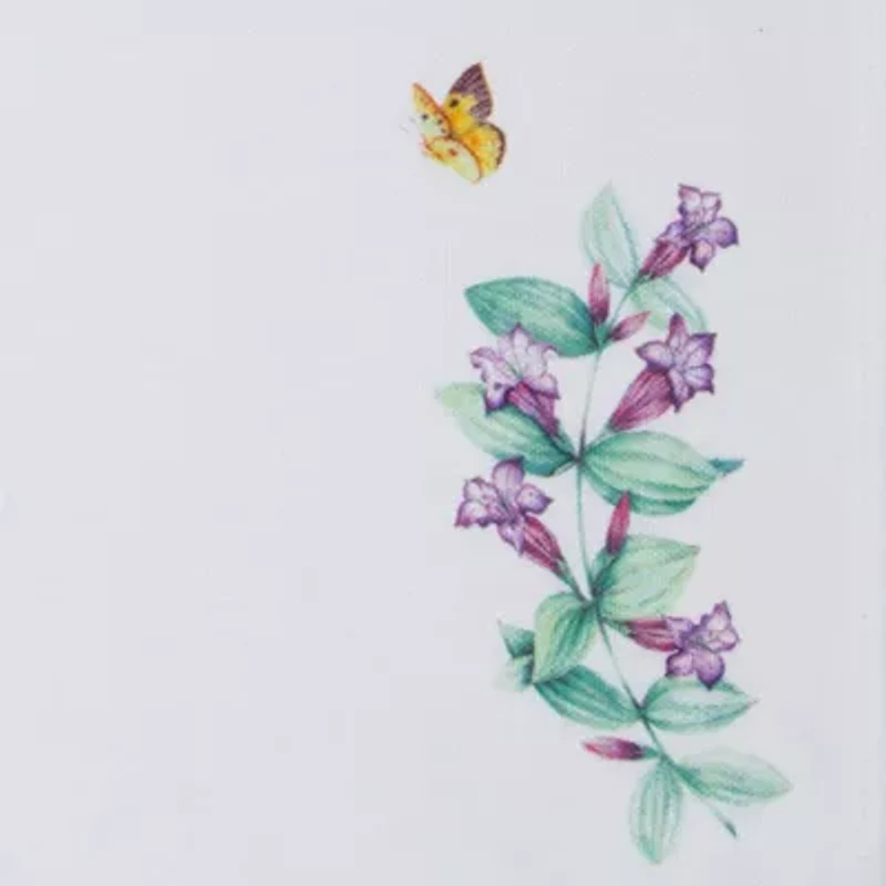 Lenox Butterfly Meadow Garden 4-pc. Napkins