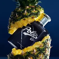 Ralph Lauren Polo Est. 67 Eau De Parfum 2.5 Oz