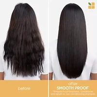 Biolage Smooth Proof Shampoo 13.5 oz.